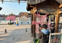 Cina: romanzi online, micro-drama, videogiochi integrati in catena del valore IP