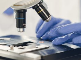 Revisione competenze dei Biologi, FNO TSRM e PSTRP: “A rischio la sicurezza dei cittadini e la qualità delle cure”