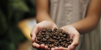 Quali sono le caratteristiche del caffè: si può bere tutti i giorni? caffè