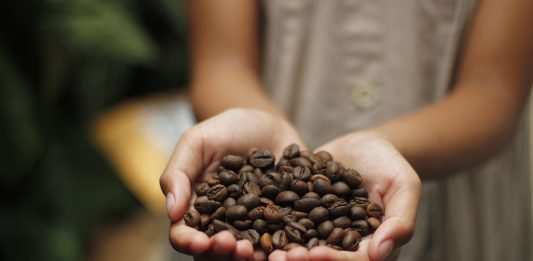 Quali sono le caratteristiche del caffè: si può bere tutti i giorni? caffè