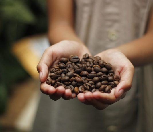 Caffè e cacao, impegno dell’Italia per delle filiere più sostenibili e inclusive caffè