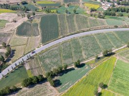 Cina: ortaggi da clima freddo coltivati nel Qinghai (1)