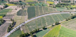 Cina: ortaggi da clima freddo coltivati nel Qinghai (1)