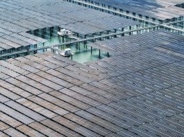 Cina: Fujian, costruite nuove reti elettriche intelligenti a energia pulita (1)