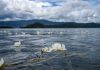 Cina: tutela ecologica e turismo in crescita al lago Lugu (1)
