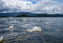 Cina: tutela ecologica e turismo in crescita al lago Lugu (1)