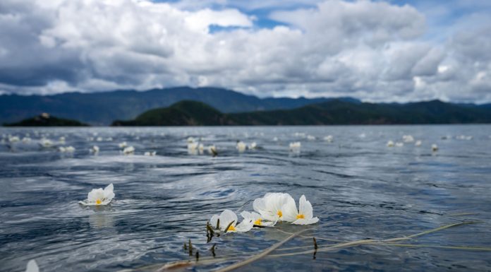 Cina: tutela ecologica e turismo in crescita al lago Lugu (1)