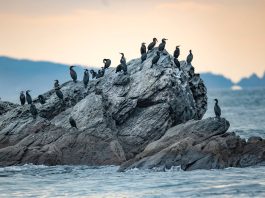 Cina: l’arcipelago di Changshan entra nel patrimonio mondiale UNESCO (2)