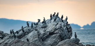 Cina: l’arcipelago di Changshan entra nel patrimonio mondiale UNESCO (2)