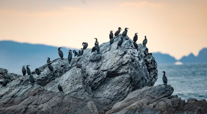 Cina: l’arcipelago di Changshan entra nel patrimonio mondiale UNESCO (2)