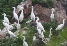 Cina: l’arcipelago di Changshan entra nel patrimonio mondiale UNESCO (3)