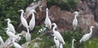 Cina: l’arcipelago di Changshan entra nel patrimonio mondiale UNESCO (3)