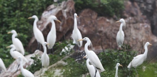 Cina: l’arcipelago di Changshan entra nel patrimonio mondiale UNESCO (3)