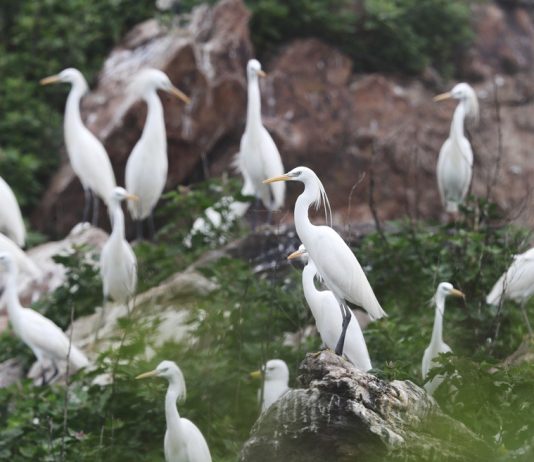 Cina: l’arcipelago di Changshan entra nel patrimonio mondiale UNESCO (3)