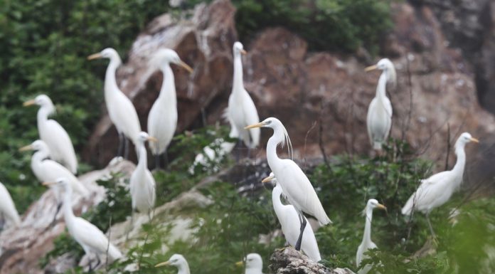 Cina: l’arcipelago di Changshan entra nel patrimonio mondiale UNESCO (3)