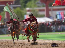 Cina: al via il 44esimo festival delle corse di cavalli di Yushu (2)