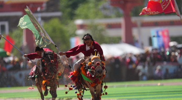 Cina: al via il 44esimo festival delle corse di cavalli di Yushu (2)