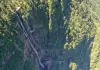 Cina: paesaggi e turisti sul monte Wawu nel Sichuan (1)