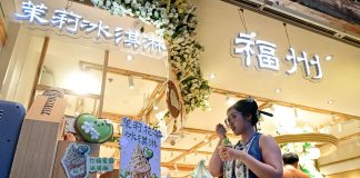 Cina: Fuzhou, il tè al gelsomino rilancia il turismo culturale (2)