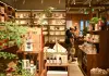 Cina: Fuzhou, il tè al gelsomino rilancia il turismo culturale (3)