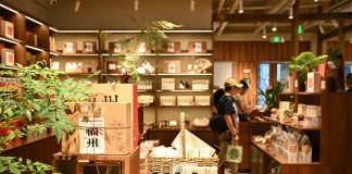 Cina: Fuzhou, il tè al gelsomino rilancia il turismo culturale (3)