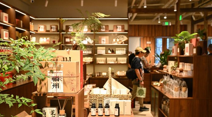 Cina: Fuzhou, il tè al gelsomino rilancia il turismo culturale (3)