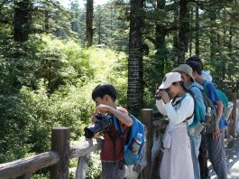 Cina: paesaggi e turisti sul monte Wawu nel Sichuan (3)