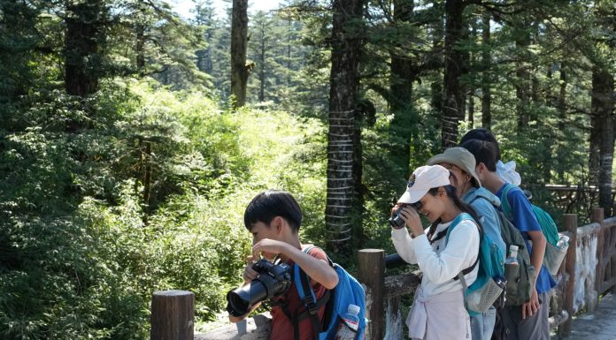 Cina: paesaggi e turisti sul monte Wawu nel Sichuan (3)