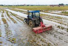 Cina: Hunan, macchinari senza conducente utilizzati per raccolta e semina (1)