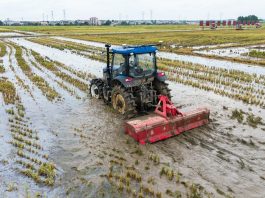 Cina: Hunan, macchinari senza conducente utilizzati per raccolta e semina (1)