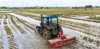 Cina: Hunan, macchinari senza conducente utilizzati per raccolta e semina (1)