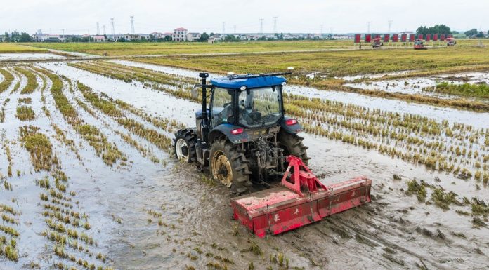 Cina: Hunan, macchinari senza conducente utilizzati per raccolta e semina (1)
