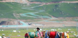 Cina: Xizang, iniziata gara ippica con diversi eventi in programma (1)