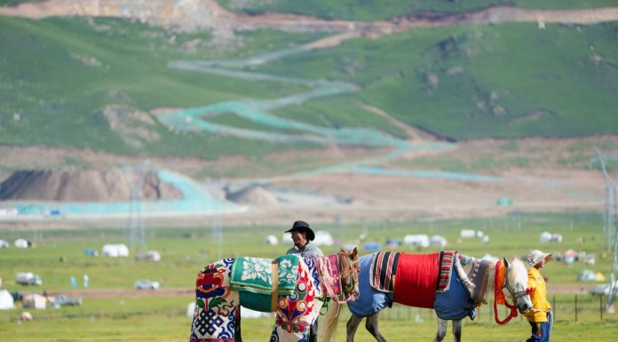 Cina: Xizang, iniziata gara ippica con diversi eventi in programma (1)
