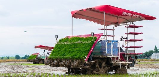 Cina: Hunan, macchinari senza conducente utilizzati per raccolta e semina (2)