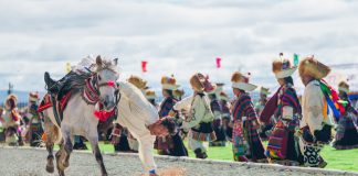 Cina: Xizang, iniziata gara ippica con diversi eventi in programma (2)