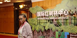 Cina: inaugurato a Shenzhen il Centro internazionale delle mangrovie (3)