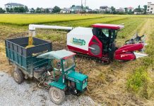 Cina: Hunan, macchinari senza conducente utilizzati per raccolta e semina (3)