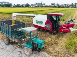 Cina: Hunan, macchinari senza conducente utilizzati per raccolta e semina (3)