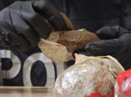 Roma, la Polizia blocca un carico di hashish: 2 arresti e 51kg di droga sequestrati