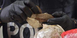 Roma, la Polizia blocca un carico di hashish: 2 arresti e 51kg di droga sequestrati