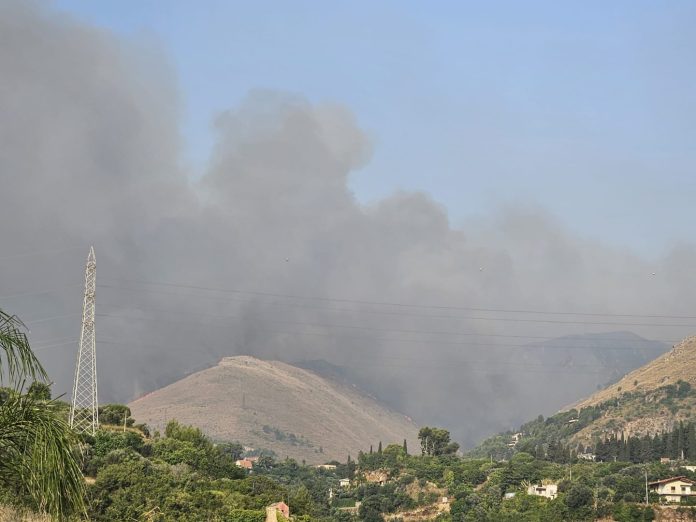 incendi palermitano