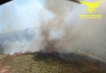 Vasto incendio nel territorio di Padru, in azione 4 elicotteri e 2 Canadair
