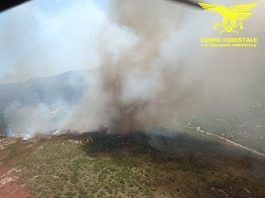 Vasto incendio nel territorio di Padru, in azione 4 elicotteri e 2 Canadair