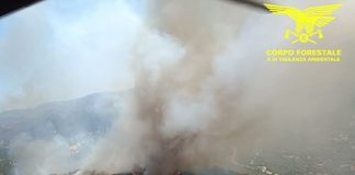 Vasto incendio nel territorio di Padru, in azione 4 elicotteri e 2 Canadair