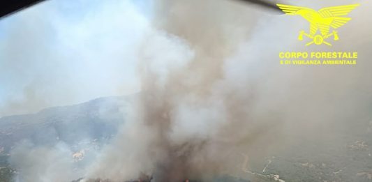 Vasto incendio nel territorio di Padru, in azione 4 elicotteri e 2 Canadair