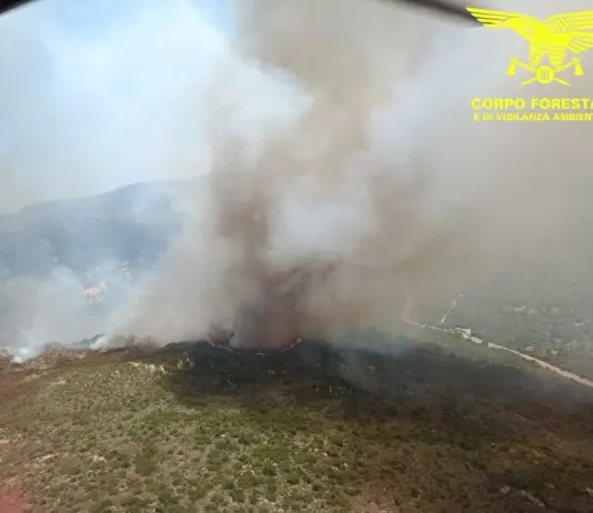 Vasto incendio nel territorio di Padru, in azione 4 elicotteri e 2 Canadair