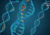 Miozzo “I test genetici sono strumenti fondamentali per contrasto alle malattie rare”