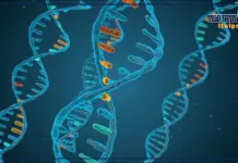 Miozzo “I test genetici sono strumenti fondamentali per contrasto alle malattie rare”