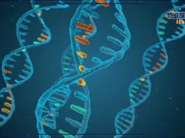 Miozzo “I test genetici sono strumenti fondamentali per contrasto alle malattie rare”